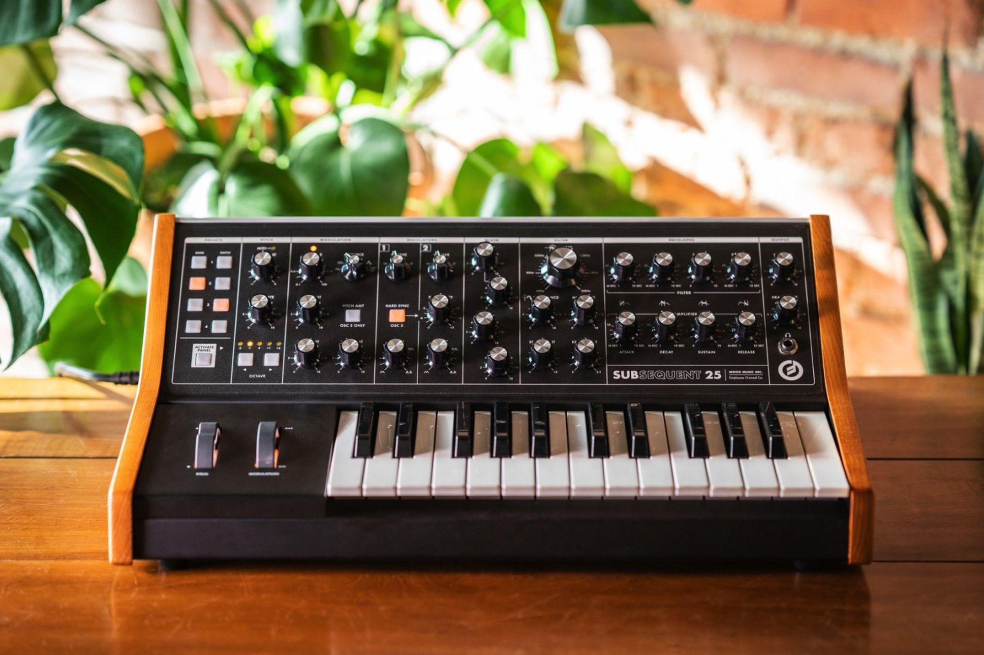 A modern Moog synth (the Subsequent 25).
